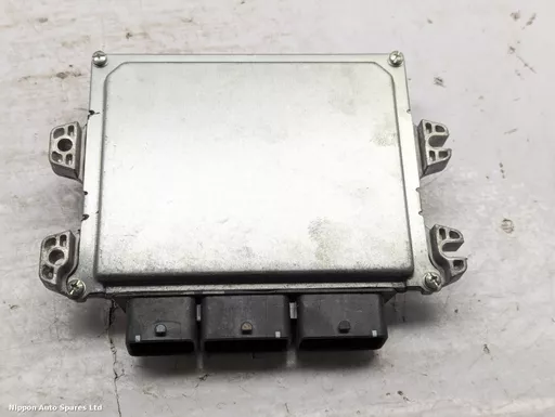 ff651e55-2950-43b7-a0f0-7a17ea2d54dd.jpeg?