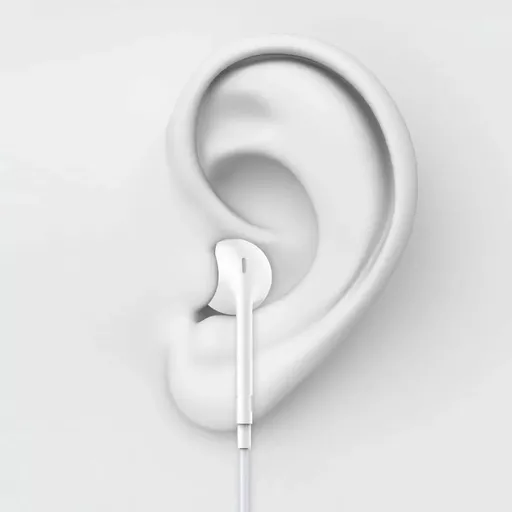 DEV-EARP-MIC-WHT6 (Copy).png