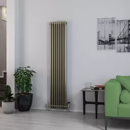 81.0113_1.jpg.jpeg?