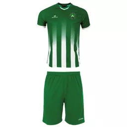 WantageTownFootballClub_VividShirt&ClubProShort_GreenWhiteGreen_Front.png