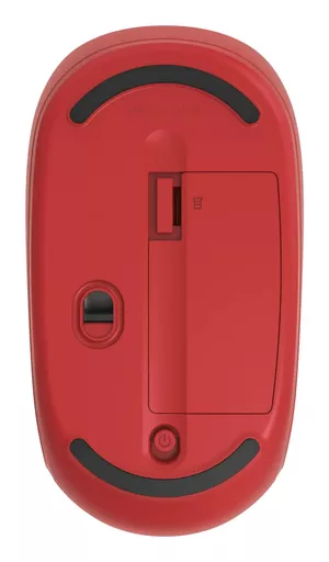 neM9Ksk1202ipvKsAqJfXQ.c-r.jpg?