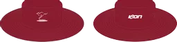 Hat-2.png