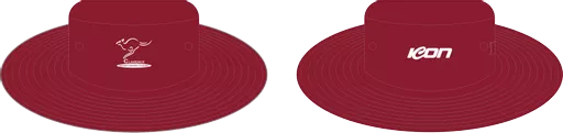 Hat-2.png