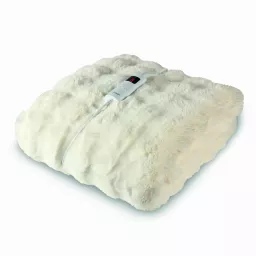 C81148BIVY.jpg?date=29092026