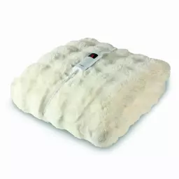C81148BIVY.jpg?date=29092026