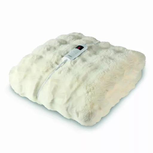 C81148BIVY.jpg?date=29092026