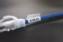 pXtZWDJlykq-DB9mrR4hlg.c-r.jpg?