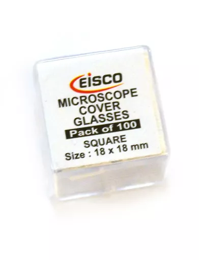 EDUCBI0094A.jpg