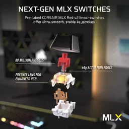 16m51XbCaUONNZXq_-SYyQ.c-r.jpg?