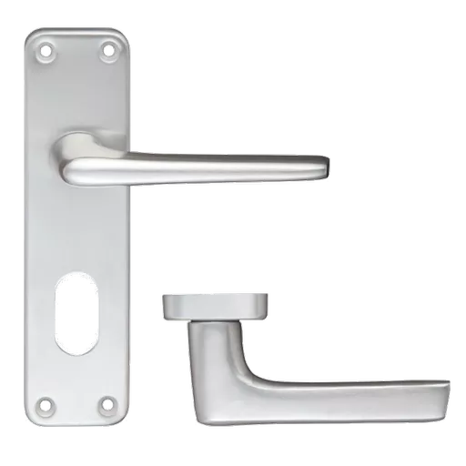 ZOO Lever Handle On Oval Lock Backplate