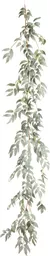 IT393769.jpg