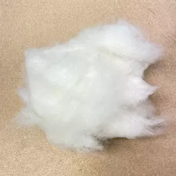 wool 1.jpg