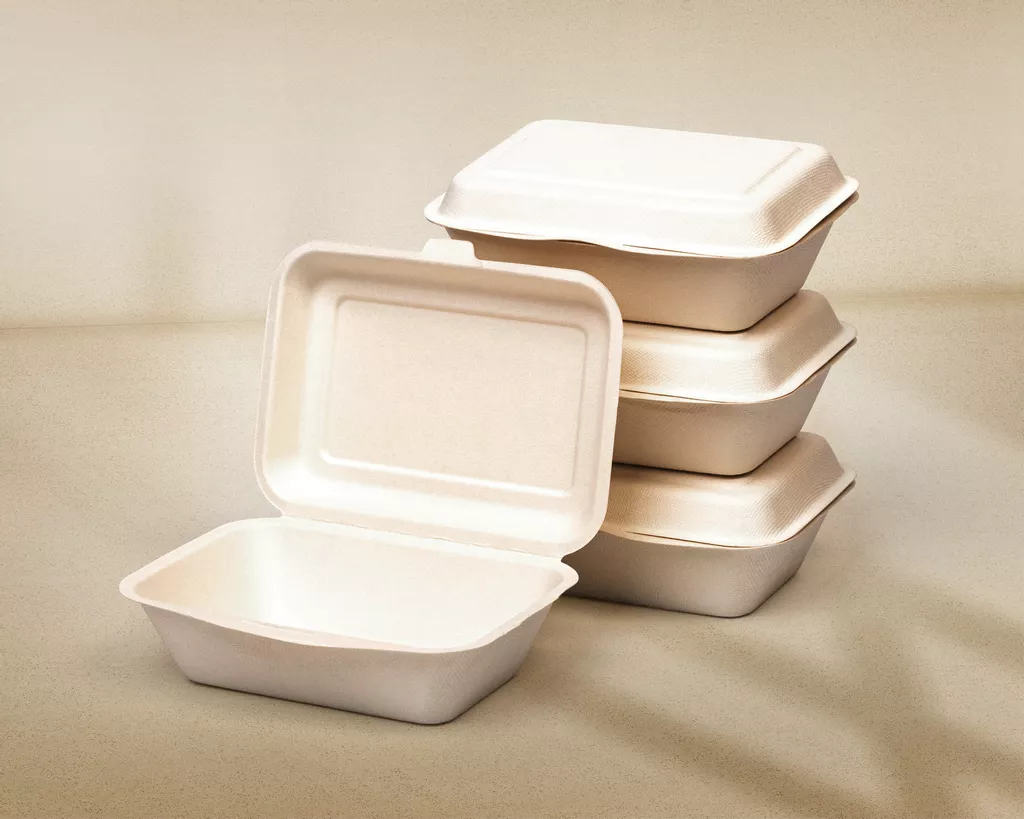 What is Bagasse? 8 Reasons Sugarcane Fibre is the Leading Alternative to Plastic Packaging