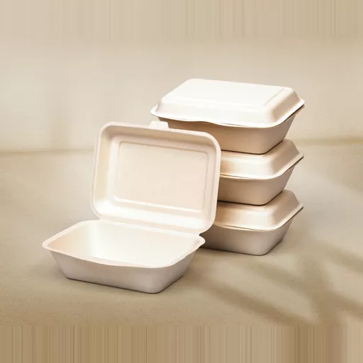 Bagasse Group Picture.png