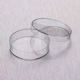 1770209169cb0659f78181488cede4c102048e7c4d.png?