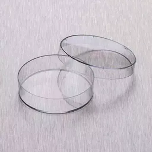 1770209169cb0659f78181488cede4c102048e7c4d.png?