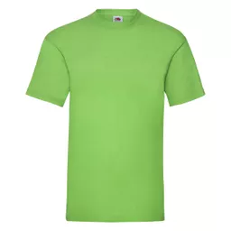 Men's Valueweight T-Shirt