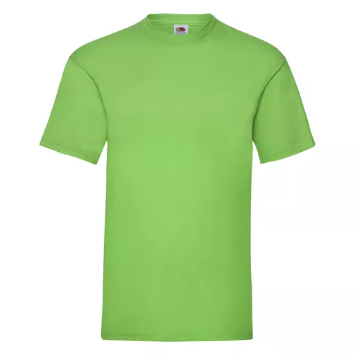 Men's Valueweight T-Shirt
