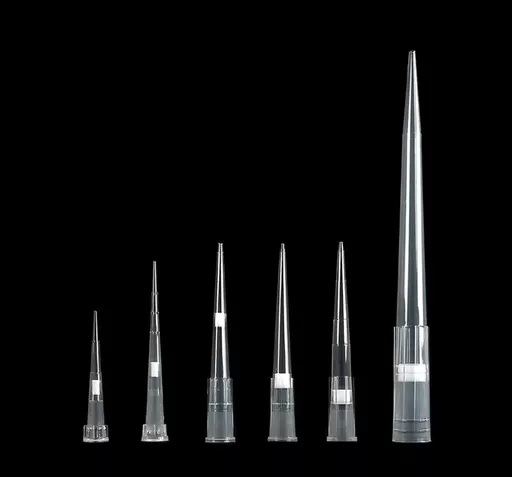 fabdfa555b622662afff9fe41cfa9ff2.png?