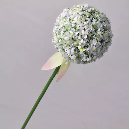 white allium stem.jpg