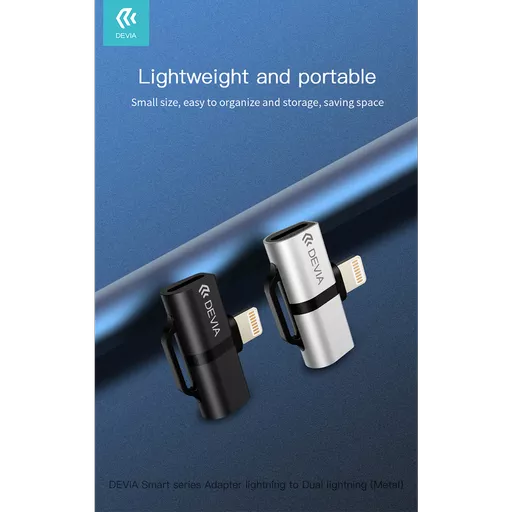 DEV-ADAP-2LIGHT-SLV7 (Copy).png