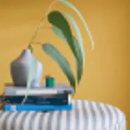 Three Bears - Lifestyle.webp