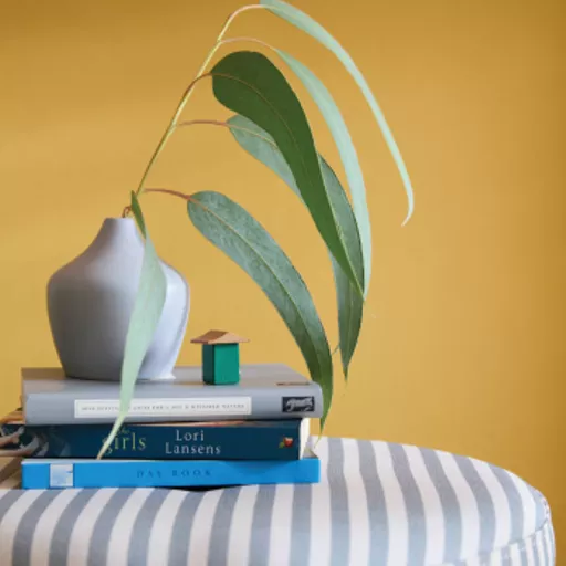 Three Bears - Lifestyle.webp