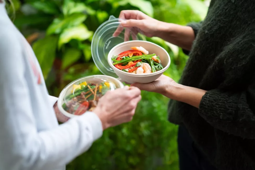 TAKEAWAY BOWLS