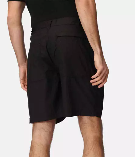 Regatta Action Shorts