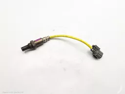 351811d6-976f-46aa-b4a4-e86f6e6372bc.jpeg?