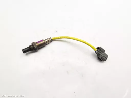 351811d6-976f-46aa-b4a4-e86f6e6372bc.jpeg?