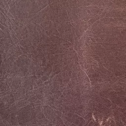 1745663019-09486100.jpg?
