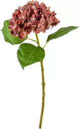 IT393806.jpg