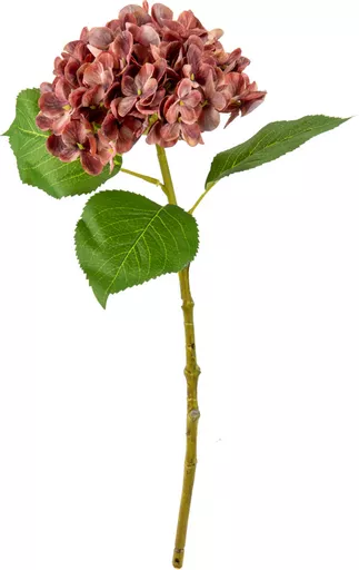 IT393806.jpg