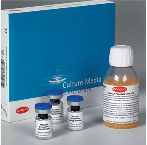 088d02dd6da25b8e8f431a472fe27aaa.png?