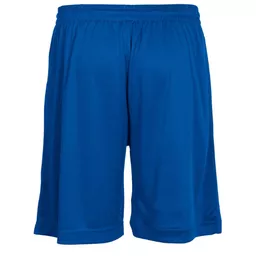 Stanno_FieldShorts420000-5000_Royal_Back.png