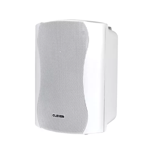 Clever Acoustics BGS50T 100v White Speakers (Pair)