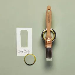 sapling samples.jpg