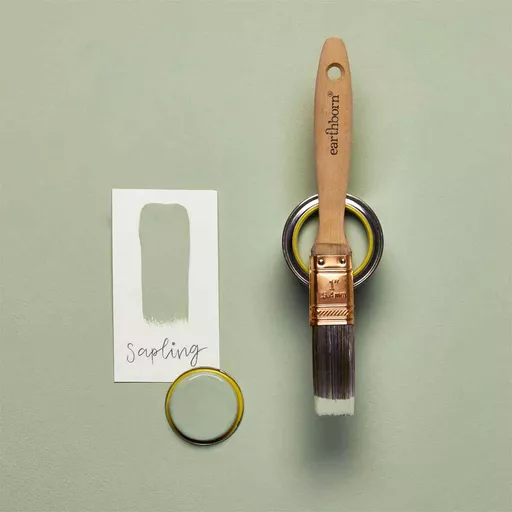 sapling samples.jpg