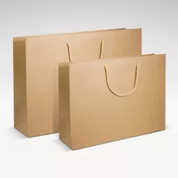 GROUP--Natural-kraft-unprinted-luxury-bag.jpg