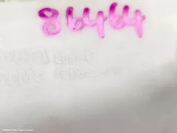 c5b771ff-386f-4e2b-84f5-b747db05e769.jpeg?