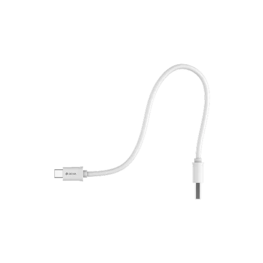 DEV-SC-TYPEC-WHT-2M4 (Copy).png