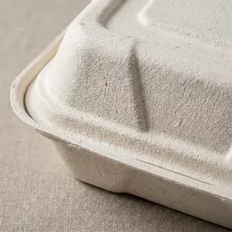 _0000s_0000_9 x 6_ Bagasse Food Container.jpg