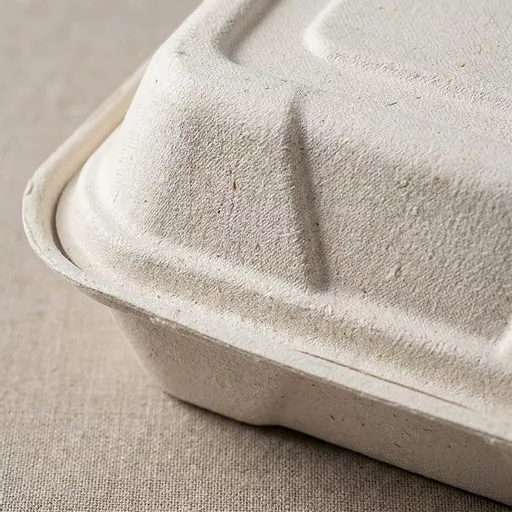 _0000s_0000_9 x 6_ Bagasse Food Container.jpg
