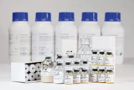 1770208566f787cd21c181ed5133b48e6c8ae6f339.png?