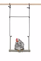 Gaun Chicken Swing 1.jpg