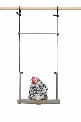 Gaun Chicken Swing 1.jpg