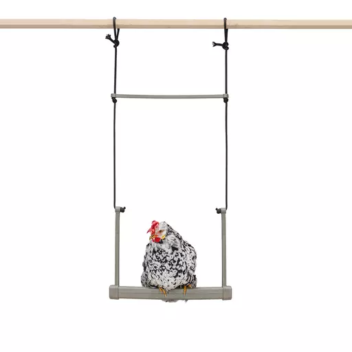 Gaun Chicken Swing
