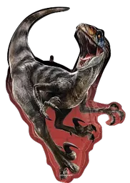 IT379833_1.webp