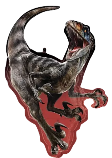 IT379833_1.webp